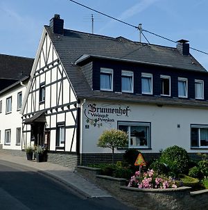 Brunnenhof Ξενοδοχείο Bruttig-Fankel Exterior photo