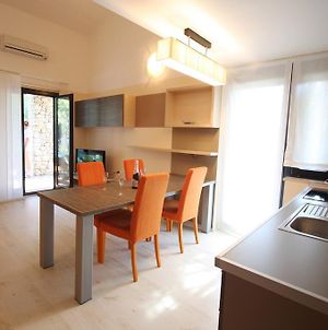 Apartment Rona Gajac Novalja Room photo