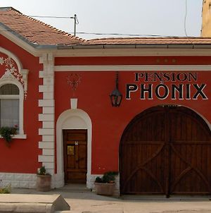 Pension Phonix Σιγκισοάρα Exterior photo