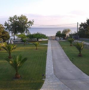 Villa Kallimanis Πλατανίδια Exterior photo