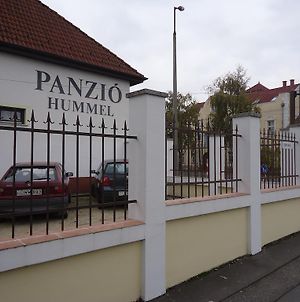 Panzio Hummel Bed and Breakfast Γκιόρ Exterior photo
