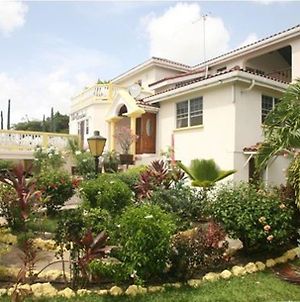 Palm Paradise Guest House And 2 Apartments Barbados Exterior photo