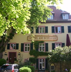 Am Schloss Ξενοδοχείο Alzey Exterior photo
