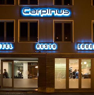 Hotel Carpinus Λουβέν Exterior photo