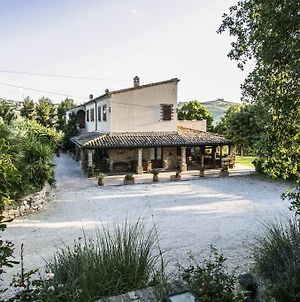 Agriturismo Col Morino Bed and Breakfast Pineto Exterior photo