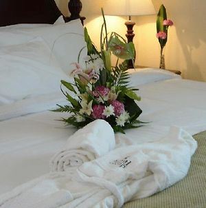 Tulip Inn Royal Suites Αϊμάν Room photo
