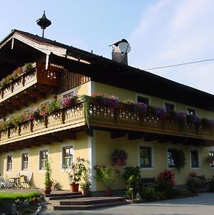 Gastehaus Steinerhof Ξενοδοχείο Σάλτσμπουργκ Exterior photo