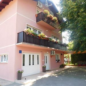 House Vukovic Ξενοδοχείο Grabovac  Exterior photo