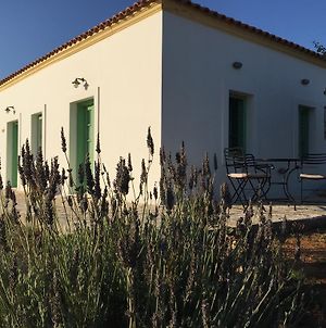 Villa Lemonia - Guest House Aroniadhiánika Exterior photo
