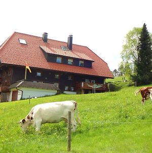 Haus Winterberg Διαμέρισμα Schonach im Schwarzwald Exterior photo