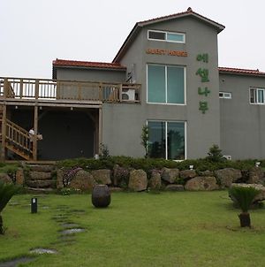 Eshel Tree Guesthouse Τζέτζου Exterior photo