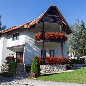 Vila Zlatiborski Biser Διαμέρισμα Exterior photo