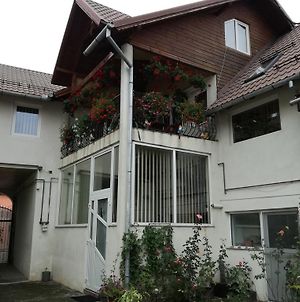 Vila Nely Ξενοδοχείο Rîşnov Exterior photo