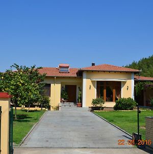 Kavala Villa Amisianá Exterior photo