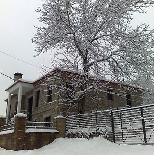 Traditional Stone House In Aidonia Grevenon Exterior photo