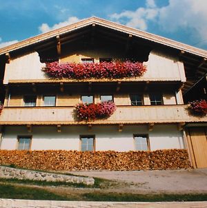 Haus Hotter Διαμέρισμα Alpbach Exterior photo