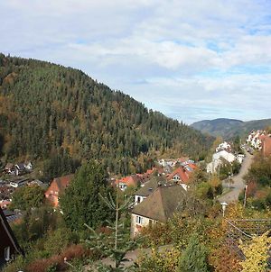 Ferienwohnung King Triberg im Schwarzwald Exterior photo