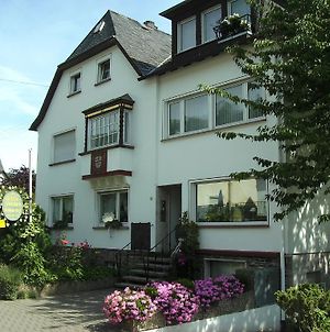 Haus Marientaler Au Ξενοδοχείο Zell an der Mosel Exterior photo