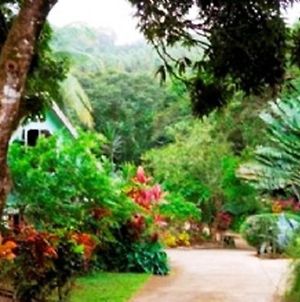 Coffee River Cottages Marigot Room photo