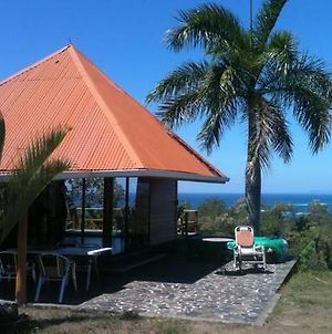 Zen Bungalow With Amazing Ocean View Βίλα Playa Santa Teresa  Exterior photo