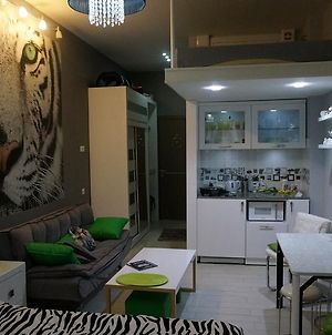 White Tiger In New Gudauri II Διαμέρισμα Exterior photo