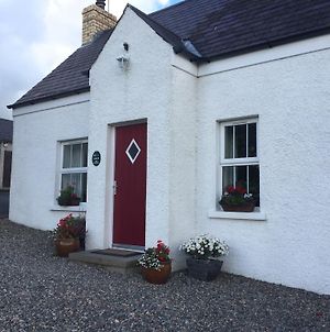 Brookvale Cottage Downpatrick Exterior photo
