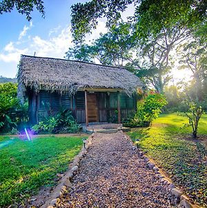 Bocawina Rainforest Resort Χόπκινς Exterior photo