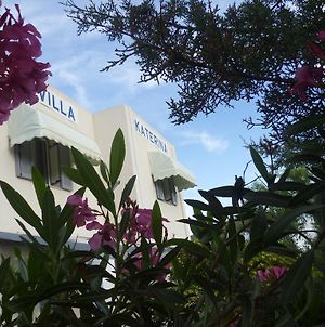 Villa Katerina Rooms & Apartments Αζόλιμνος Exterior photo