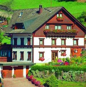 Gastehaus Heimenberg Ξενοδοχείο Bad Rippoldsau-Schapbach Exterior photo