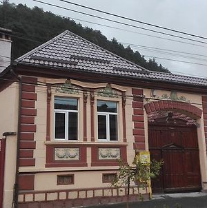 Casa De Oaspeti " Rodica" Ξενοδοχείο Rîşnov Exterior photo