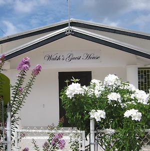 Walsh'S Guesthouse Κράιστ Τσερτς Exterior photo