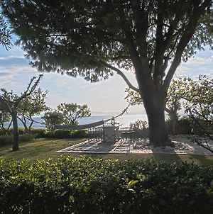 Messinian Blue Seaside Villa Καλαμάτα Exterior photo
