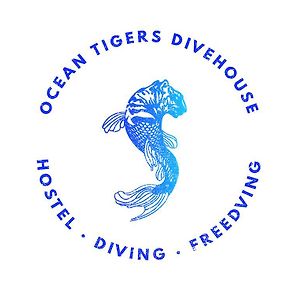 Ocean Tigers Dive House Hostel Κάβο σαν Λούκας Exterior photo