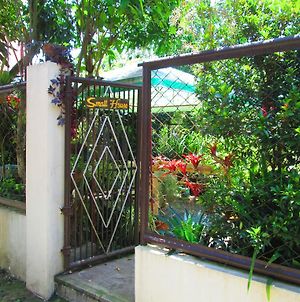 Small House - Baguio Baguio City Exterior photo