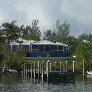 Coconut Cabana Βίλα Green Turtle Cay Exterior photo