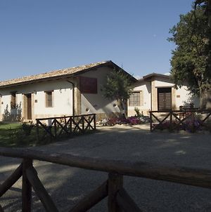 La Casa Nella Prateria Ξενοδοχείο Altomonte Exterior photo