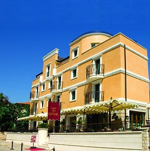 Hotel Villa Cittar Novigrad Istria Exterior photo