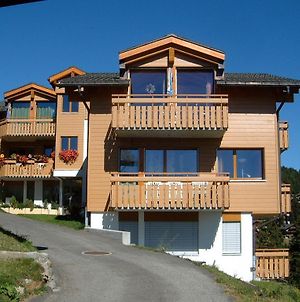 Haus Alpsagu, Bettmeralp Διαμέρισμα Exterior photo
