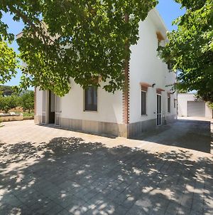 Villa Dei Primi By Barbarhouse Matino Exterior photo