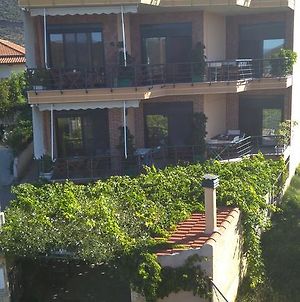 Nikolitsa Apartments Γλυφάδα Φωκίδας Exterior photo