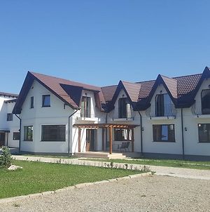 Casa Stefu Ξενοδοχείο Rîşnov Exterior photo