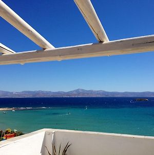 Paros Blue Dolphin Ξενοδοχείο Χρυσή Ακτή Exterior photo