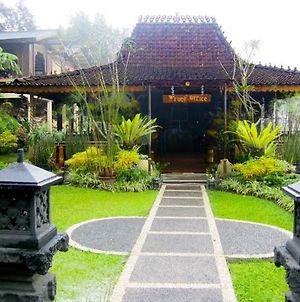Sitamiang Resort Hotel Μπογκόρ Exterior photo