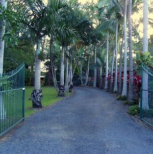 Emerald Tropical Palms B & B Κοφς Χάρμπουρ Exterior photo