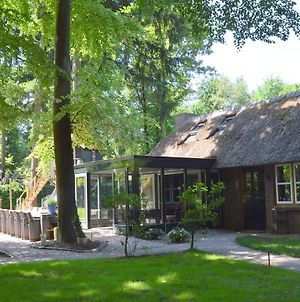 Beautiful Holiday Home In Haaren With Sauna Exterior photo
