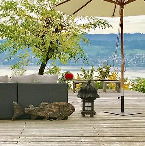 Lovely Guesthouse With Lakeview Herrliberg Exterior photo