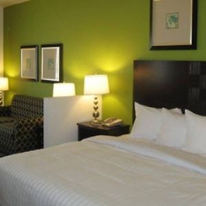 Best Western Douglas Inn & Suites Room photo