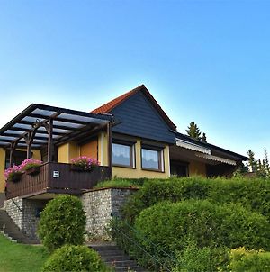 Cozy Holiday Home In G Ntersberge With Lake View Güntersberge Exterior photo