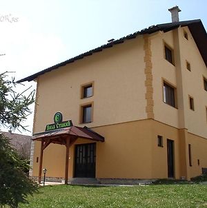 Guesthouse Vila Stakic Ζλάτιμπορ Exterior photo