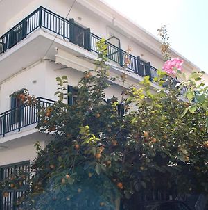 Lito Hotel Samos Island Exterior photo